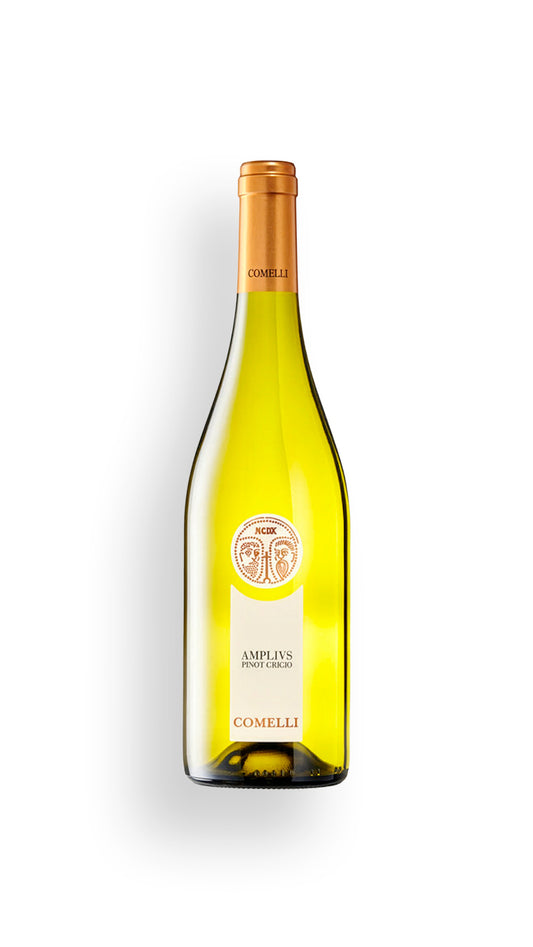 Pinot Grigio, Friuli Colli Orientali, 2024